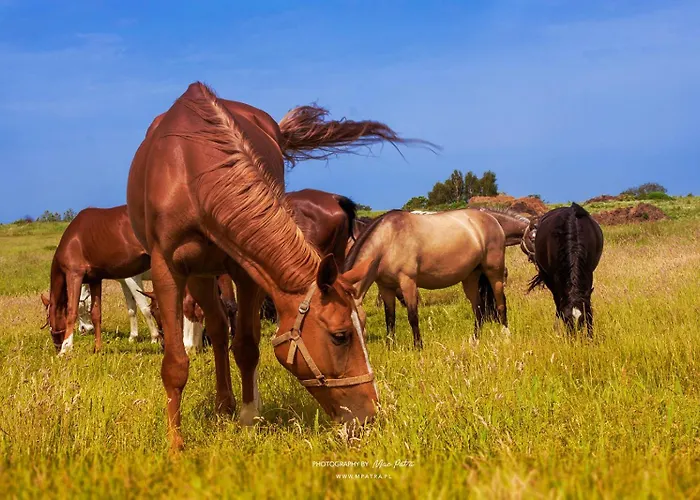 Zakatek Holiday home *